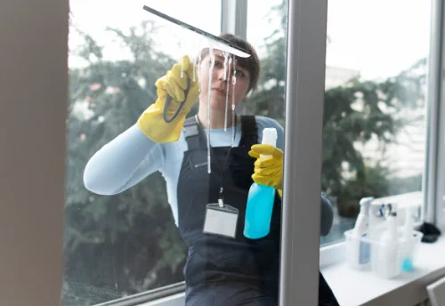 Nettoyage de vitres intérieures et extérieures à Lagorce